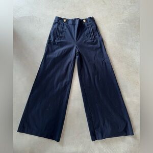 Ann Taylor Navy Wide-Leg Chinos with Gold Buttons